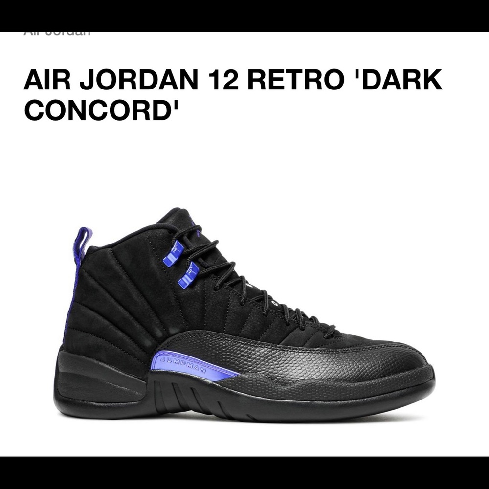 New! Jordan 12 Concord